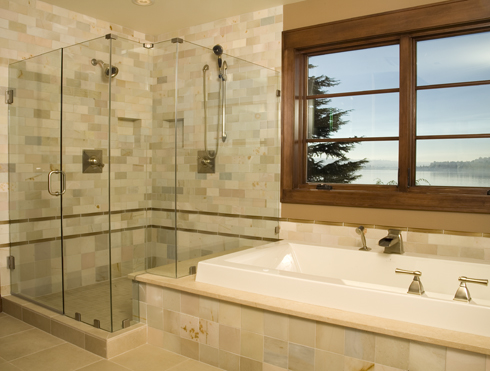 Frameless Shower door