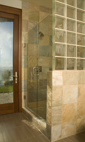 Swing Frameless Door